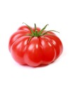 Tomate Supersteack
