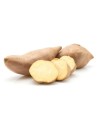 Patate douce blanche