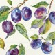 Serviette en papier 'Home grown plums cream'