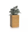 PALO en bois naturel d'eucalyptus 35 colonne