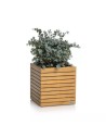 PALO en bois naturel d'eucalyptus 45 cube