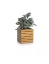 PALO en bois naturel d'eucalyptus 35 cube