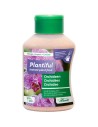 Plantiful Orchidées
