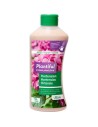 Plantiful Hortensia