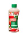 Plantiful Tomate