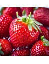 Fragaria "cijosee" - Fraisier
