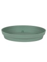 Toscane soucoupe -  Laurier