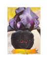 Iris germanica 'Black Watch' - Iris des jardins ‘Black Watch’