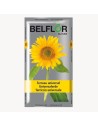 Belflor Terreau universel