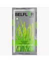 Belflor Terreau gazon