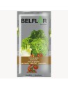 Belflor Terre de jardin