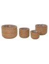 Raffa Cylinder Rush Natural S4 -