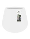 Pot Pure Cone blanc