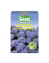 Gesal  hortensia bleu
