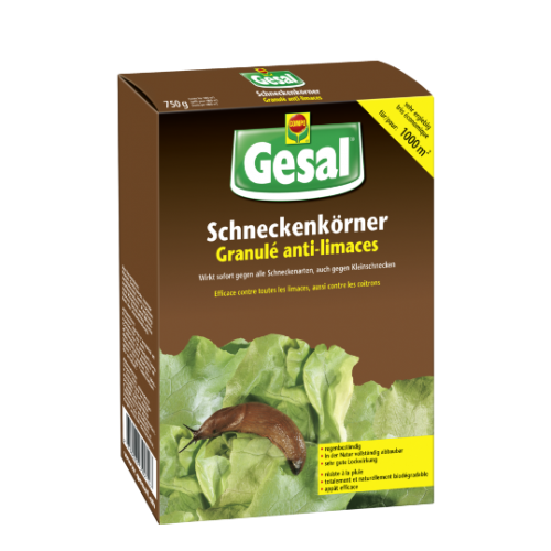 Gesal insecticide