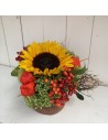 arrangement tournesol