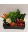 Légumes de saison 20
