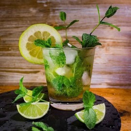 Menthe verte Mojito