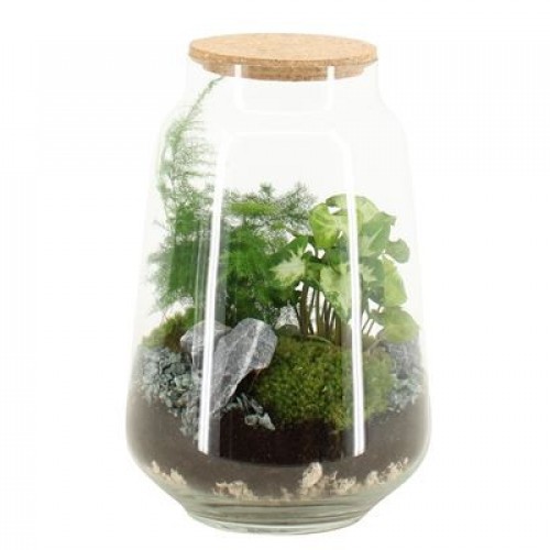 Terrarium arrangement