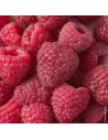 Rubus idaeus 'Héritage' - Framboisier