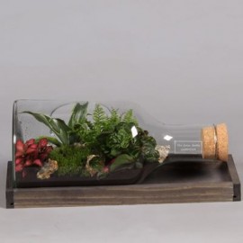 Terrarium arrangement