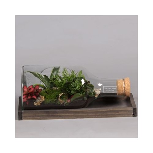 Terrarium arrangement