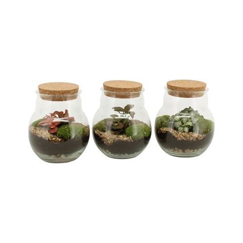 Terrarium arrangement