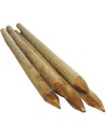 Tuteur en bois