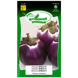 Aubergine Brillant F1