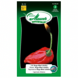 Piment Naga Bhut Jolokia