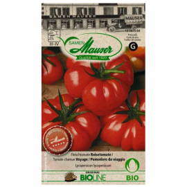 Tomate Heirloom Tomate Voyage