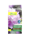Engrais pour rhododendrons
