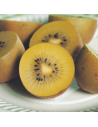 Actinidia deliciosa 'Golden kiwi' - Kiwi jaune