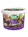 Gesal 5en1 Engrais pour plantes
