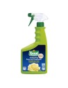 Insecticide pour rosiers et plantes d’ornement