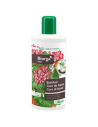 Biorga Vital Cure de base