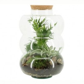 Terrarium arrangement