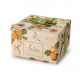 Panettone Abricots & Gingembre 500g