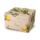 Panettone Citrons 600g