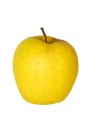 Malus domestica 'Golden Delicious' - Pommier