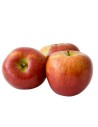 Malus domestica 'Braeburn' - Pommier
