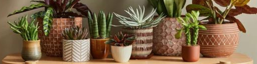 Pots