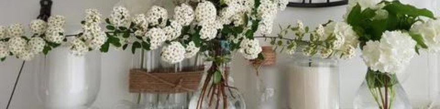 Décorations diverses
