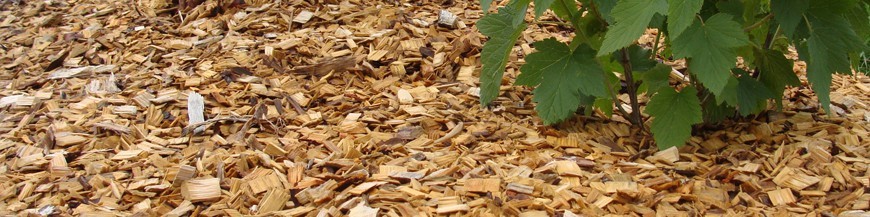 Paillis, écorces, argile