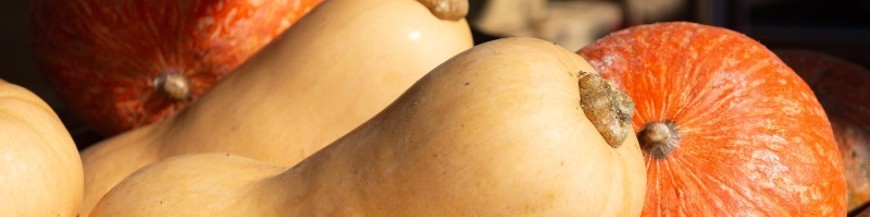Courges