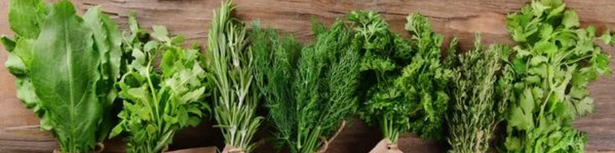 Plantes aromatiques