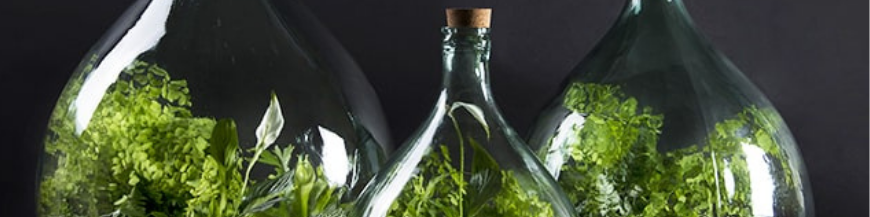 Terrarium